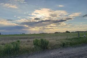 Arroyo Dulce Ferreteria