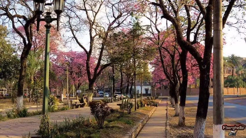 Barrio ledesma calle Mendoza