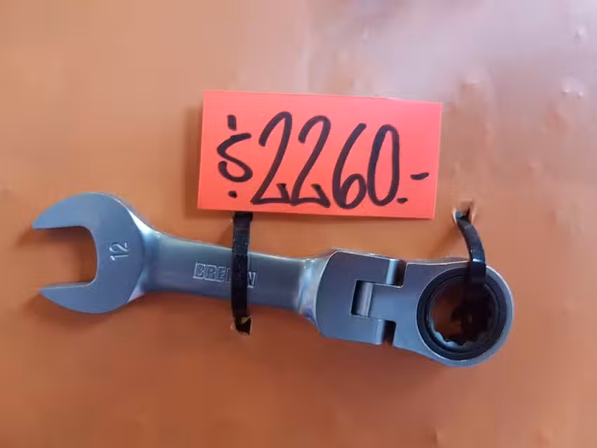 Buloner&iacute;a Ansa