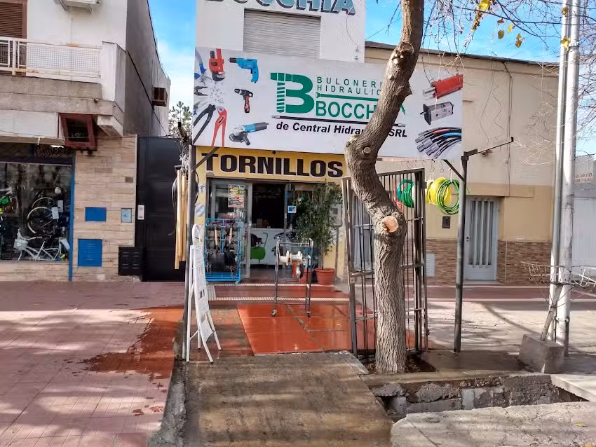 Buloner&iacute;a Bocchia