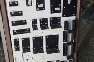 Buloner&iacute;a Carlini