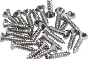 Buloner&iacute;a Mart&iacute;nez