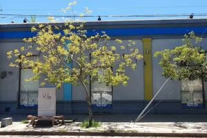 Buloner&iacute;a y Pinturer&iacute;a Arco Iris