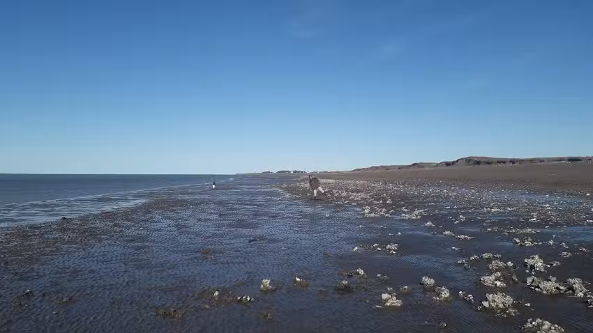 Bulones Fabio Ferreter&iacute;a En General