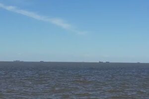 Casa Buiani e Hijo &ndash; Materiales