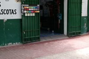 Casa martin ferreteria