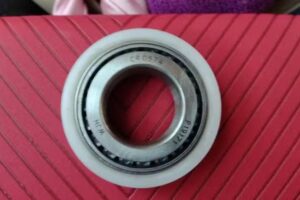 Centineo Ignacio Torner&iacute;a