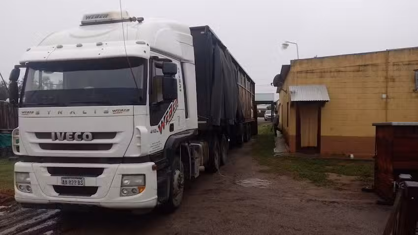 Corralon San Basilio SRL