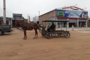 corralon y ferreteria los 3 hnos
