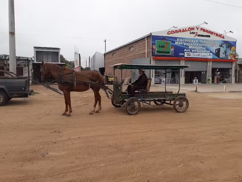 corralon y ferreteria los 3 hnos