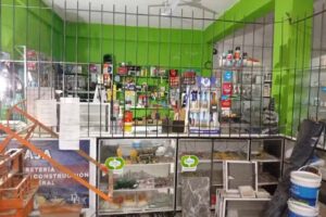 Diefer ferreter&iacute;a