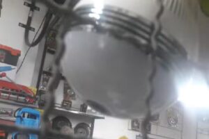 Distribuidora el Pibe