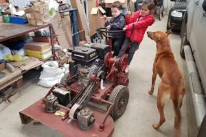 Distribuidora Firmat