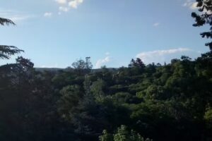 El CONDOR HUERTA GRANDE