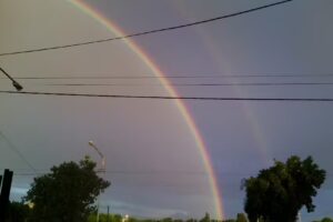 FERRETERA DEL ESTE S.A.