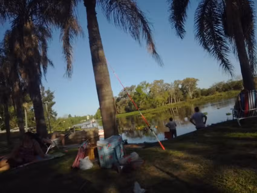 Ferreteria alma fuerte