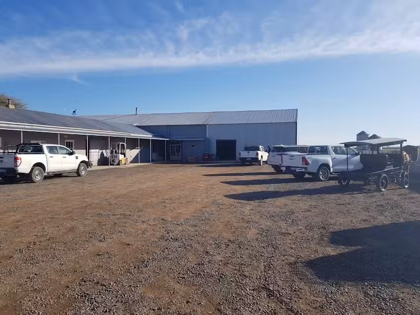 Ferreteria Campo 6 &ndash; Colonia Menonita