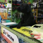 Ferreter&iacute;a Duran