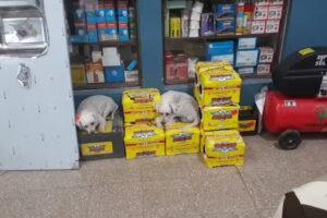 Ferreteria Electro-Plast