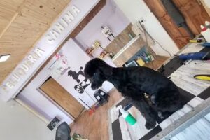 Ferreteria Failla(2)