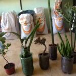 Ferreteria &raquo; La Familia &laquo;