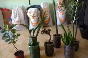 Ferreteria &raquo; La Familia &laquo;