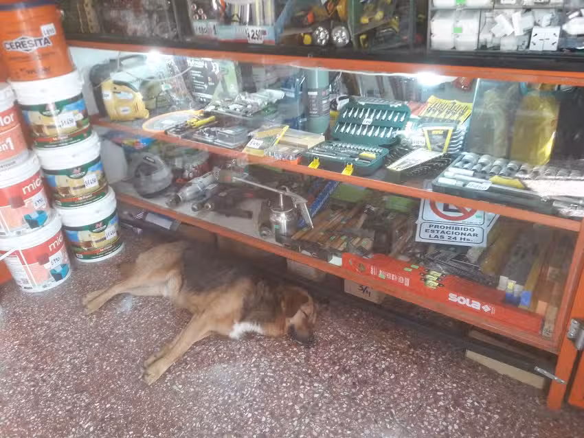 Ferreter&iacute;a La Resistencia