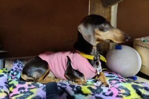 Ferreter&iacute;a Laferrere