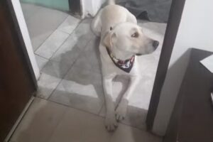 Ferreter&iacute;a Los Nogales