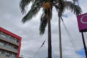 Ferreter&iacute;a Multifer