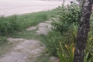 Ferreteria San Andres