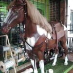 Ferreteria San Antonio