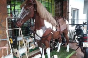 Ferreteria San Antonio