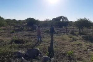 Ferreter&iacute;a Virgen del Carmen