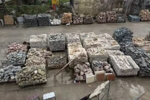 Ferretería y Corralón SACCO