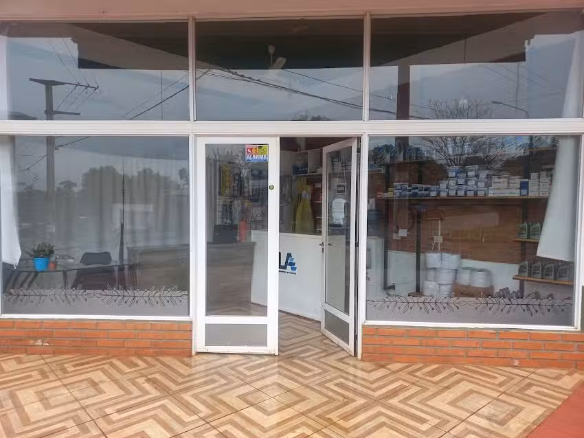 LA Repuestos en general