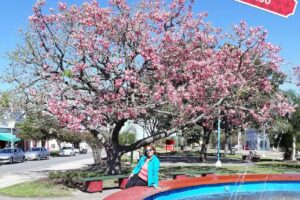 Materiales de Zan SRL