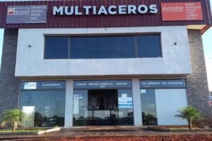Multiaceros